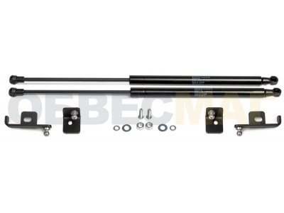 Амортизаторы капота Автоупор, 2 шт. для Skoda Karoq 2020-2021